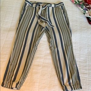 Loft Jogger Pants